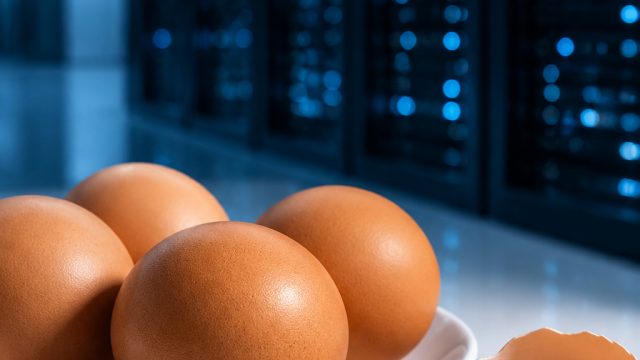 Unlocking the Power of Eggs: Vital Nutritional Benefits You Need Now | agen nexus engine, sukaslot 8