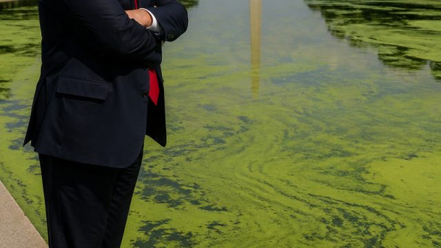 Trump's Algae Controversy: New Insights on the Reflecting Pool Debacle